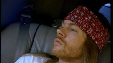La razón por la que Guns N' Roses utilizó delfines en el videoclip de "Estranged"